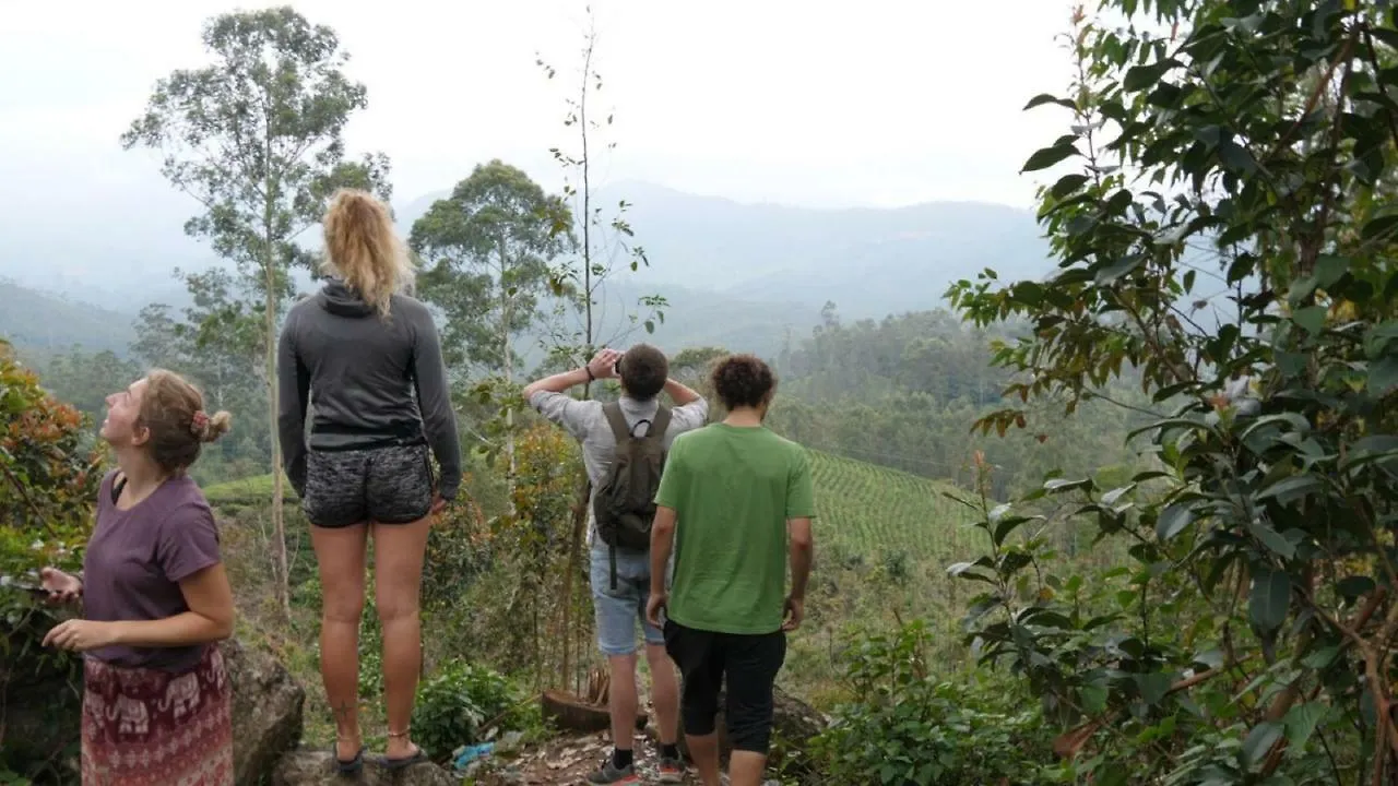The Lost Hostel, Munnar