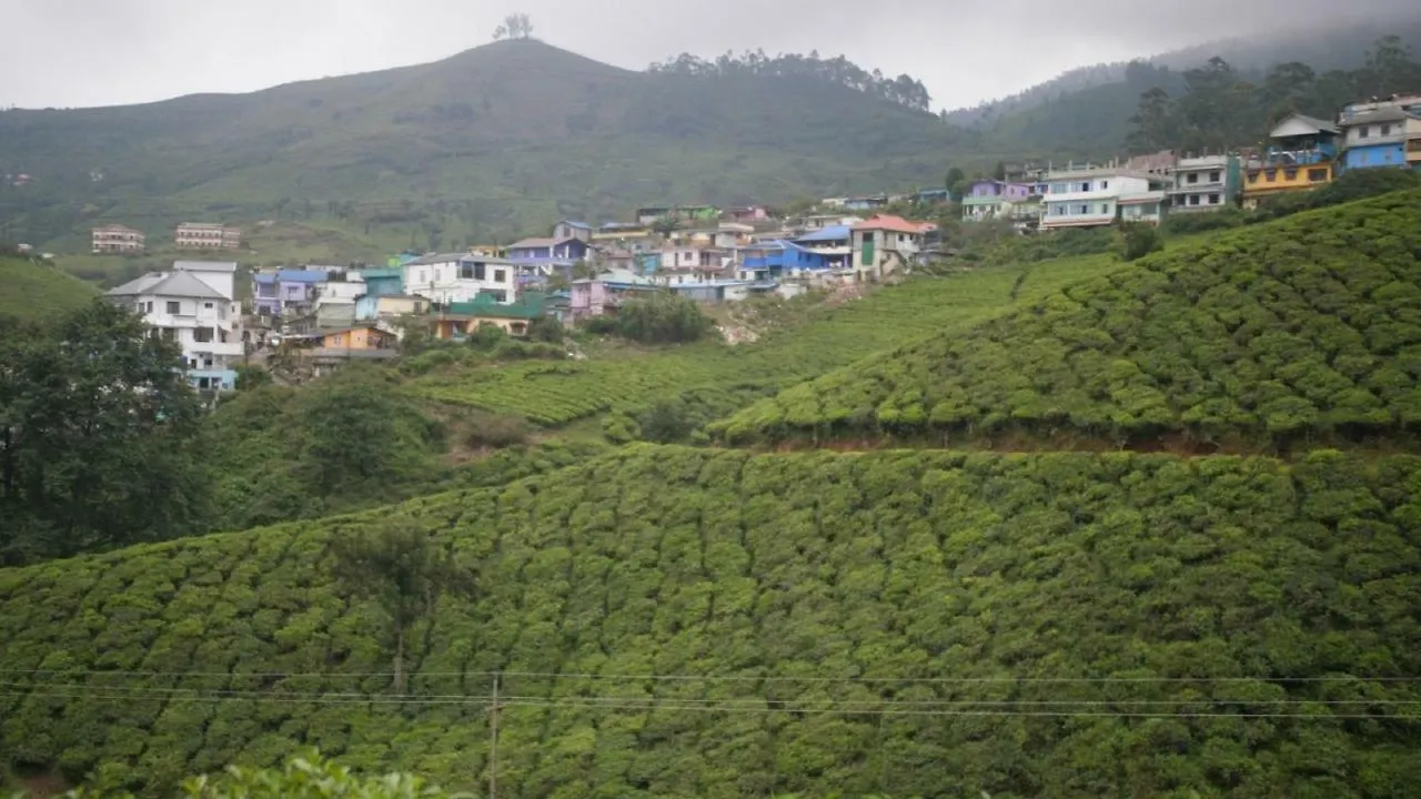The Lost Hostel, Munnar 0*,