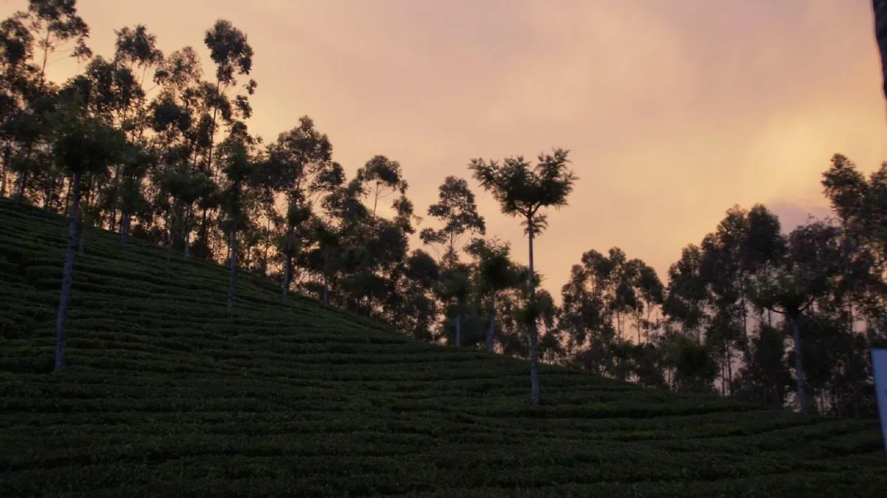 The Lost Hostel, Munnar 0*,  Inde